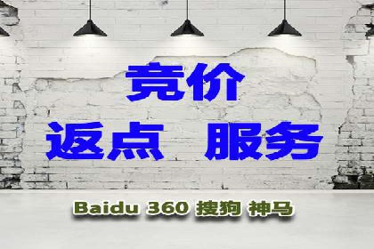 专业SEM托管服务成功案例分享